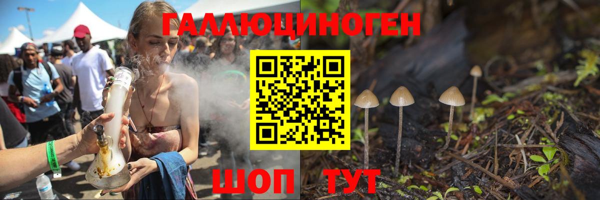 Рубцовск  Галлюциногенные грибы ЛСД  Псилоцибиновые грибы Psilocybe  что такое   Вход с VPN 